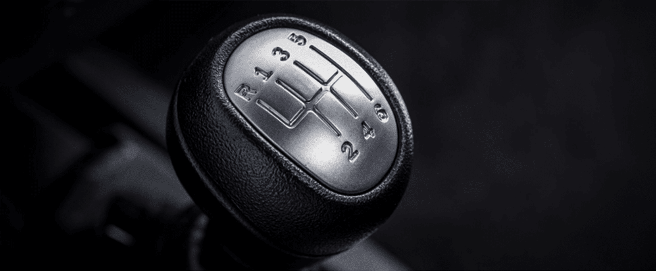 Pik Up Single Cab — Shift Into Power
